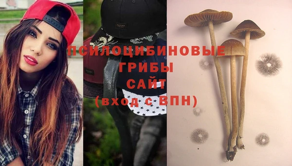 кокс Майский