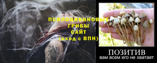 а пвп мука Магас