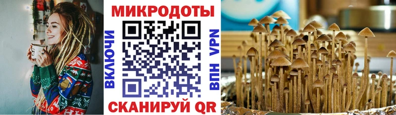 Псилоцибиновые грибы GOLDEN TEACHER  Енисейск 